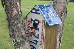 Bicentennial license birdhouse